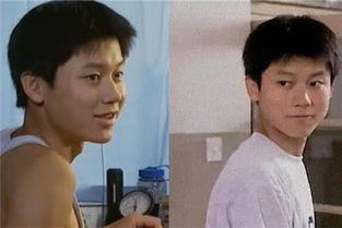 明星李晨股票,明星跨界投资背后的商业布局